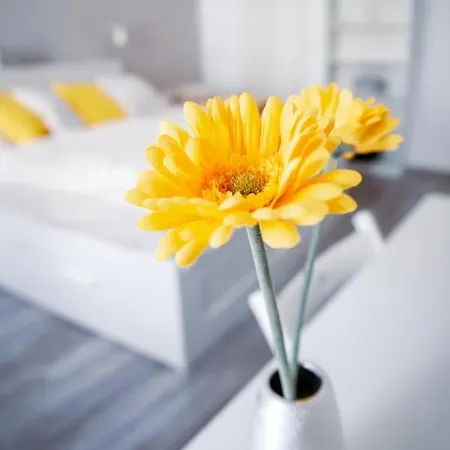 Malasits Art Apartment